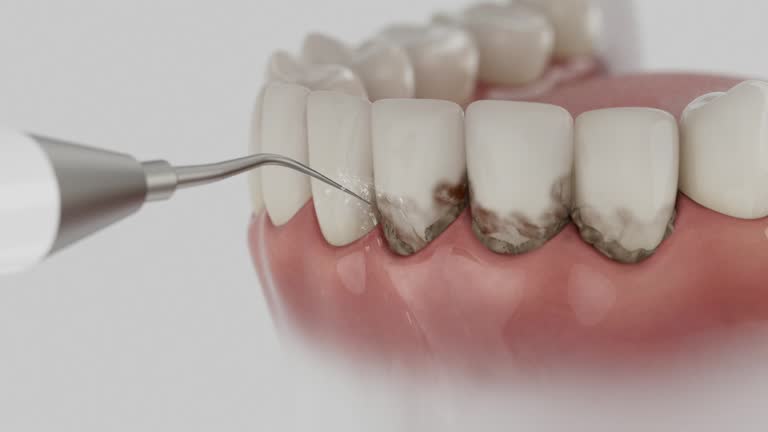 Reliable Dental contractor in El Cerrito, CA by Dentist Open Now
